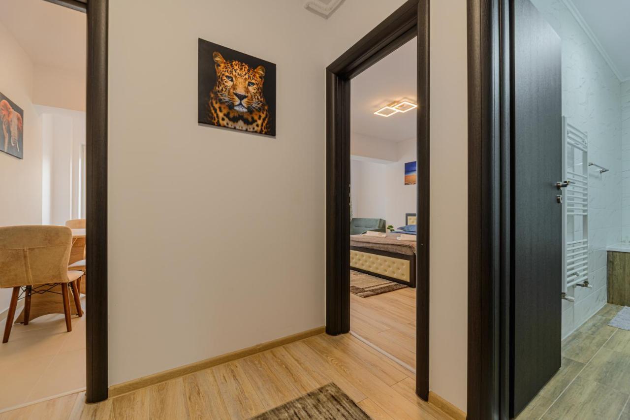 Zen Apartments 布拉索夫 外观 照片