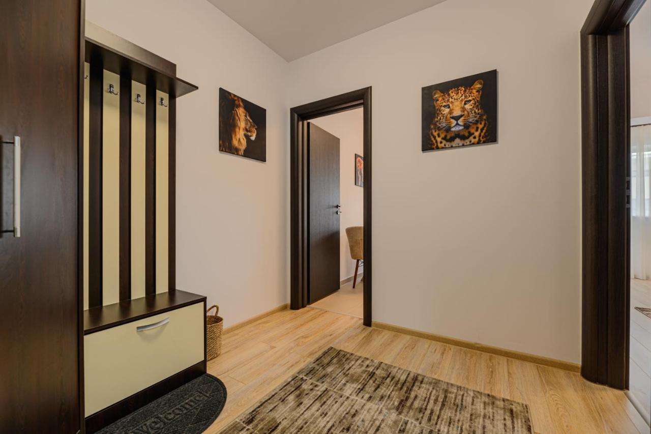 Zen Apartments 布拉索夫 外观 照片